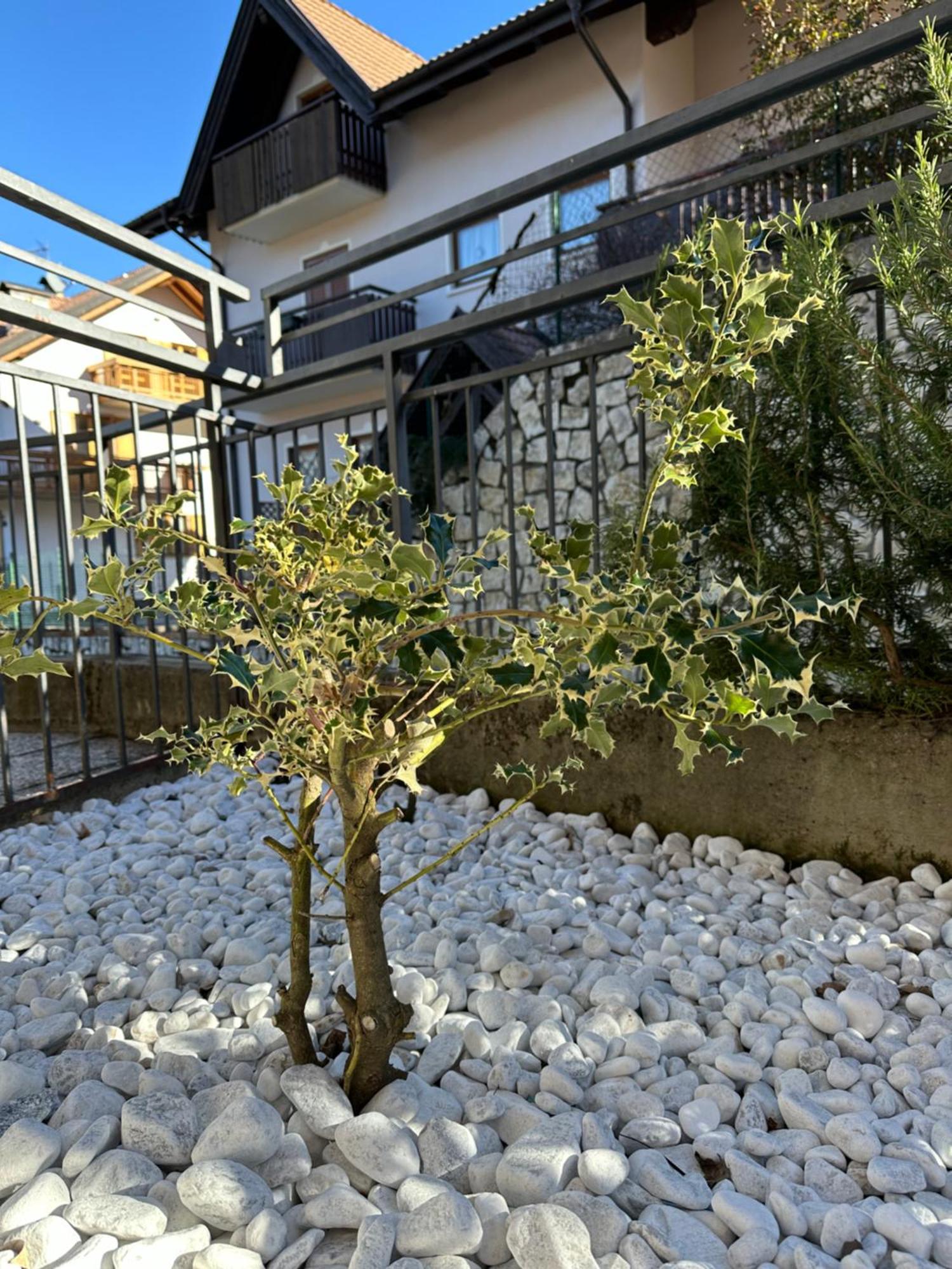Casa Vacanza La Croseta Trento Exteriér fotografie